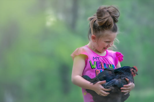 Feathered Friends - Meg Bitton Productions