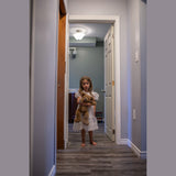 Monster Hall - Meg Bitton Productions