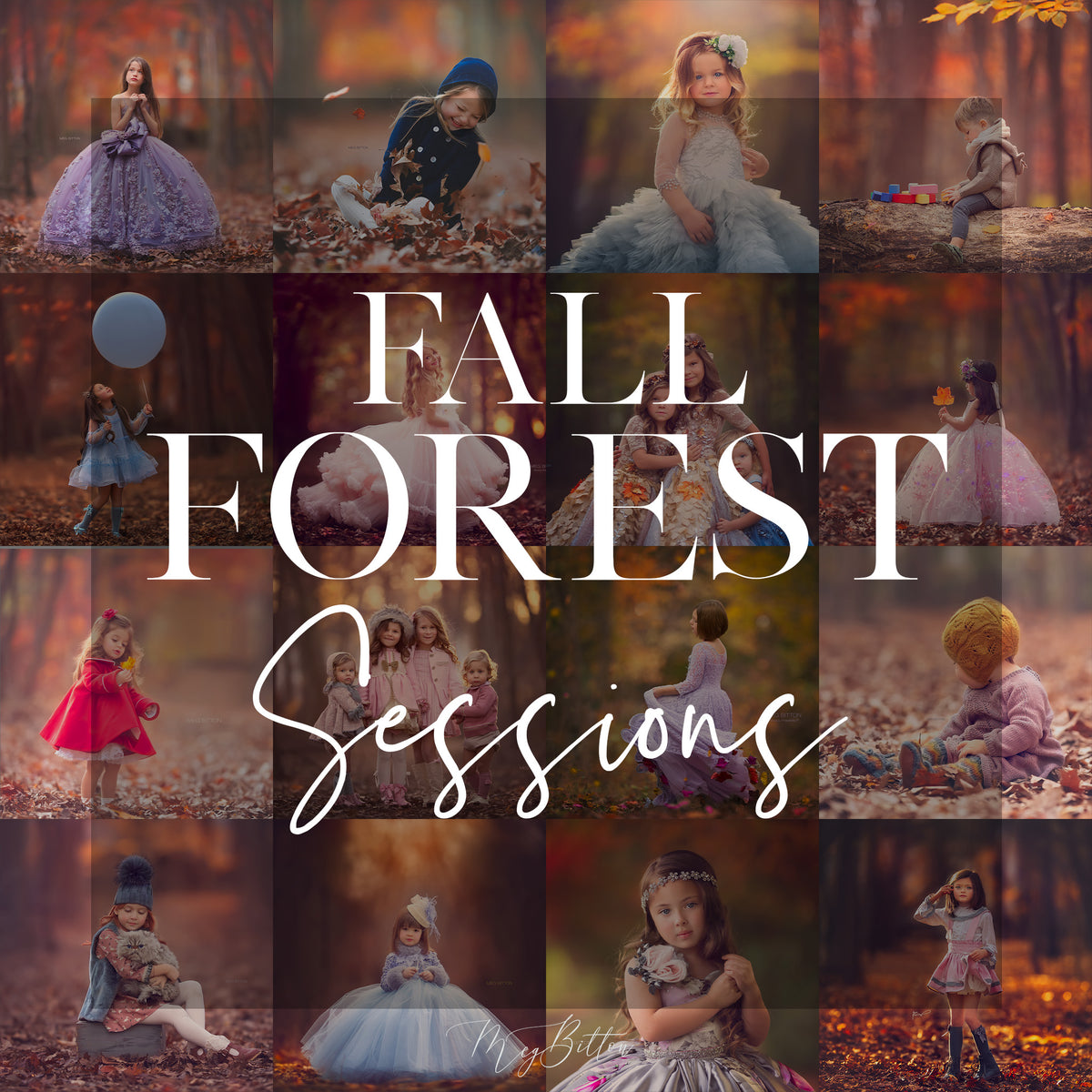 Fall Forest Princess Sessions