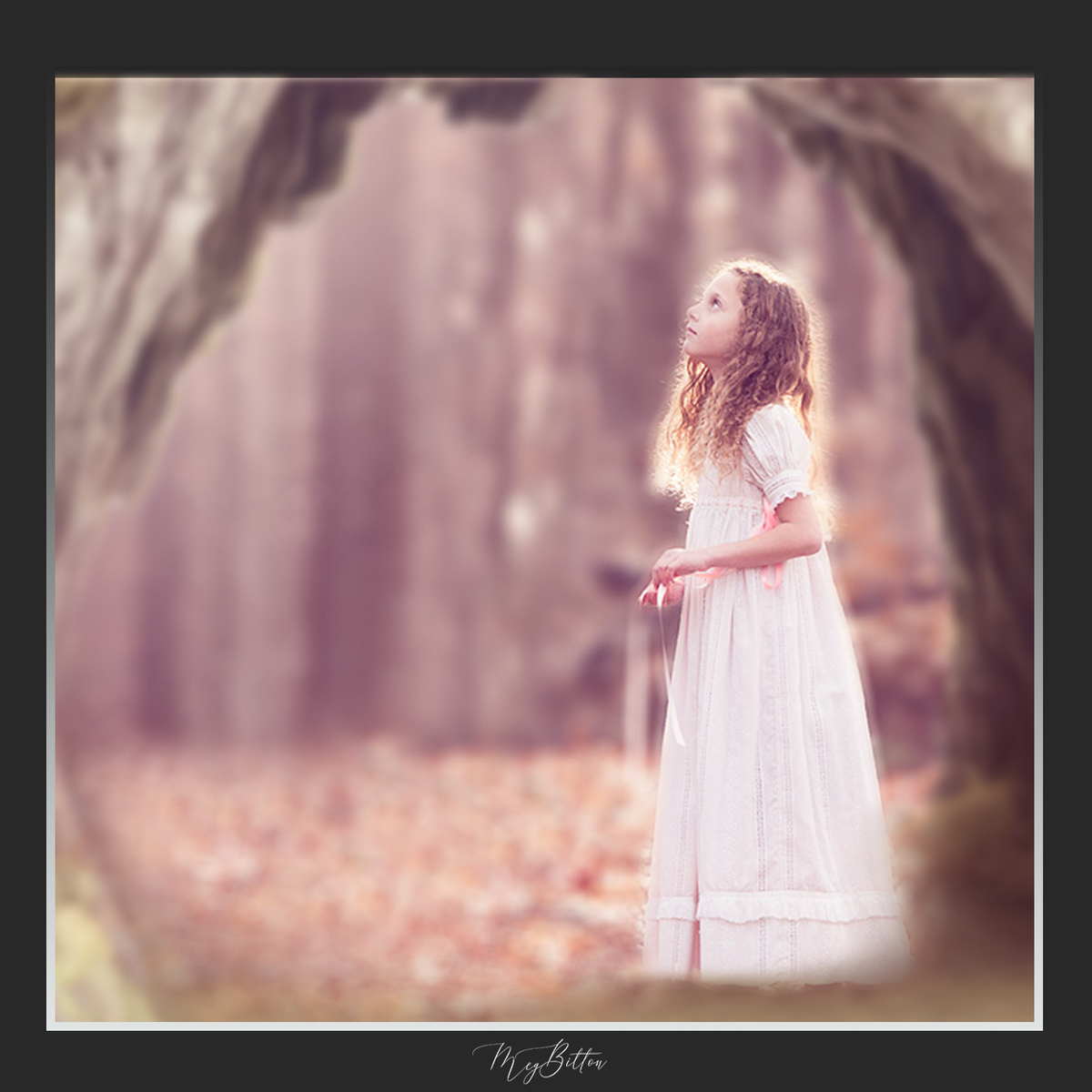 Magical Shoot Through - Forest Arch - Meg Bitton Productions