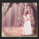 Magical Shoot Through - Forest Arch - Meg Bitton Productions
