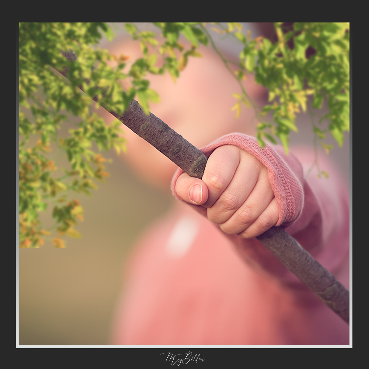 Magical Shoot Through - Sun Kissed Branches - Meg Bitton Productions