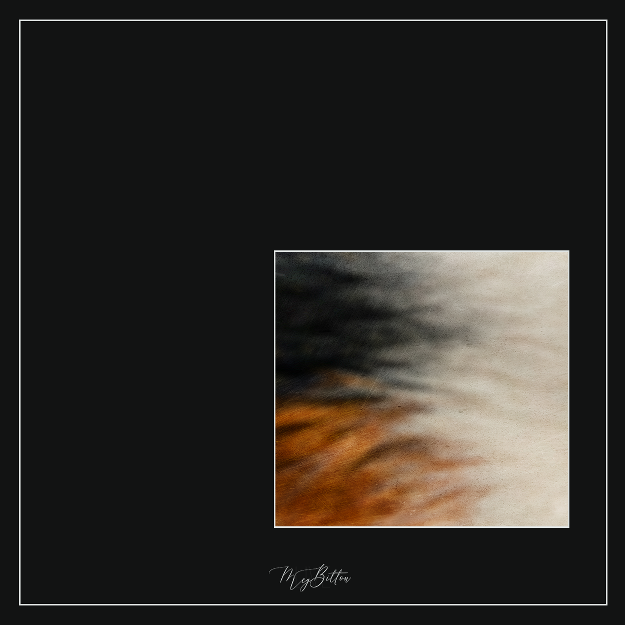 Magical Single Texture - Calico Kitten - Meg Bitton Productions