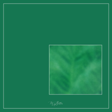 Magical Single Texture - May Day Lawn - Meg Bitton Productions