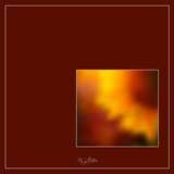 Magical Single Texture - Natural Warmth - Meg Bitton Productions