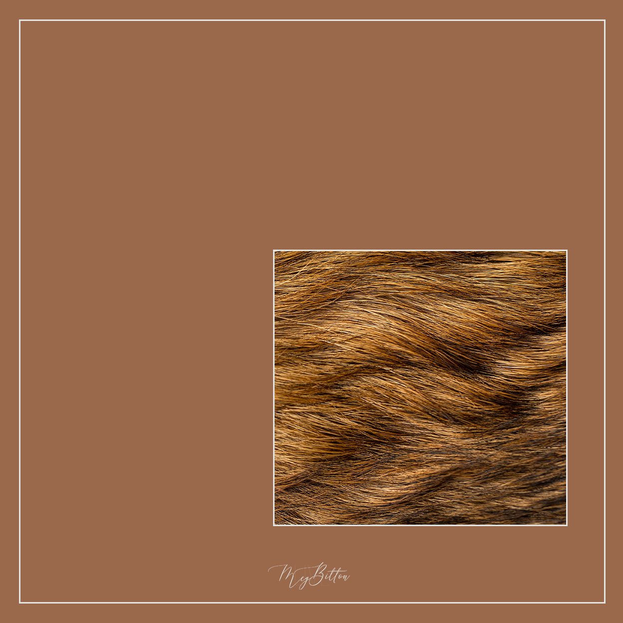 Magical Single Texture - Puppy Fluff - Meg Bitton Productions