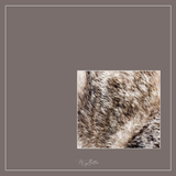 Magical Single Texture - Puppy Fur - Meg Bitton Productions