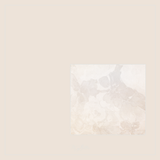 Magical Single Texture - Sand Dollar - Meg Bitton Productions
