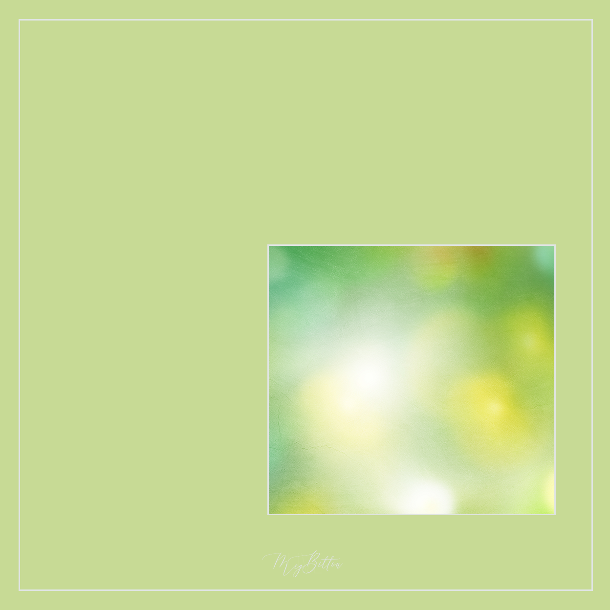 Magical Single Texture - Spring - Meg Bitton Productions