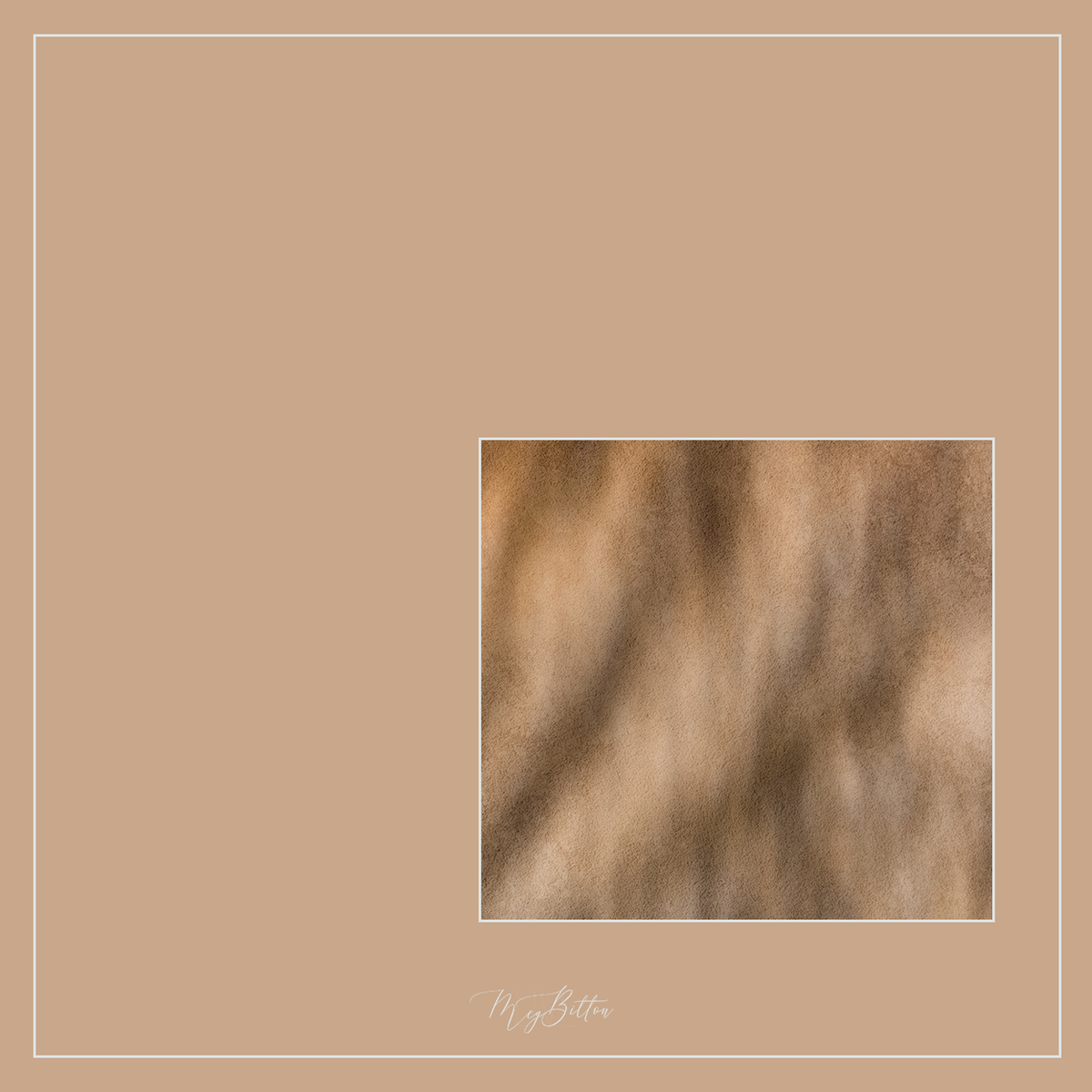 Magical Single Texture - Tabby Kitten - Meg Bitton Productions
