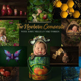 Newborn Composite Workshop