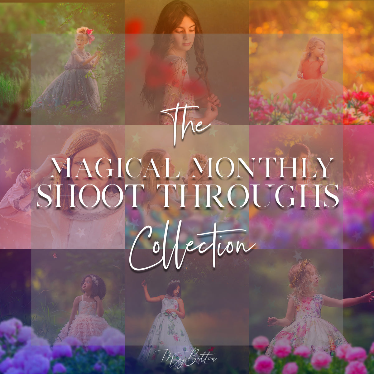 Magical Monthly Shoot Throughs Collection - Meg Bitton Productions