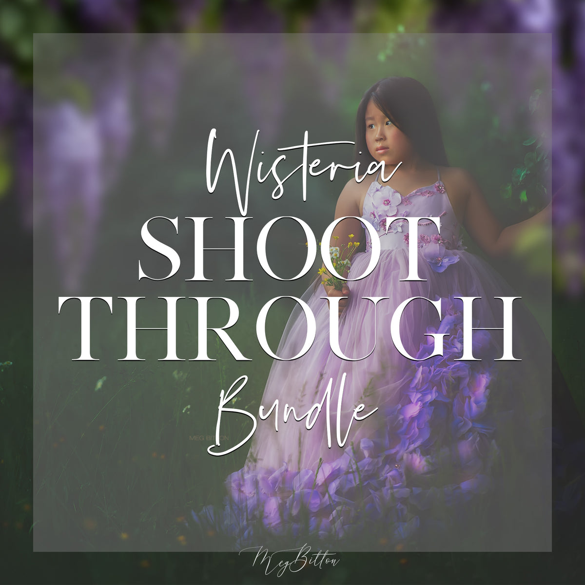 Wisteria Shoot Through Bundle