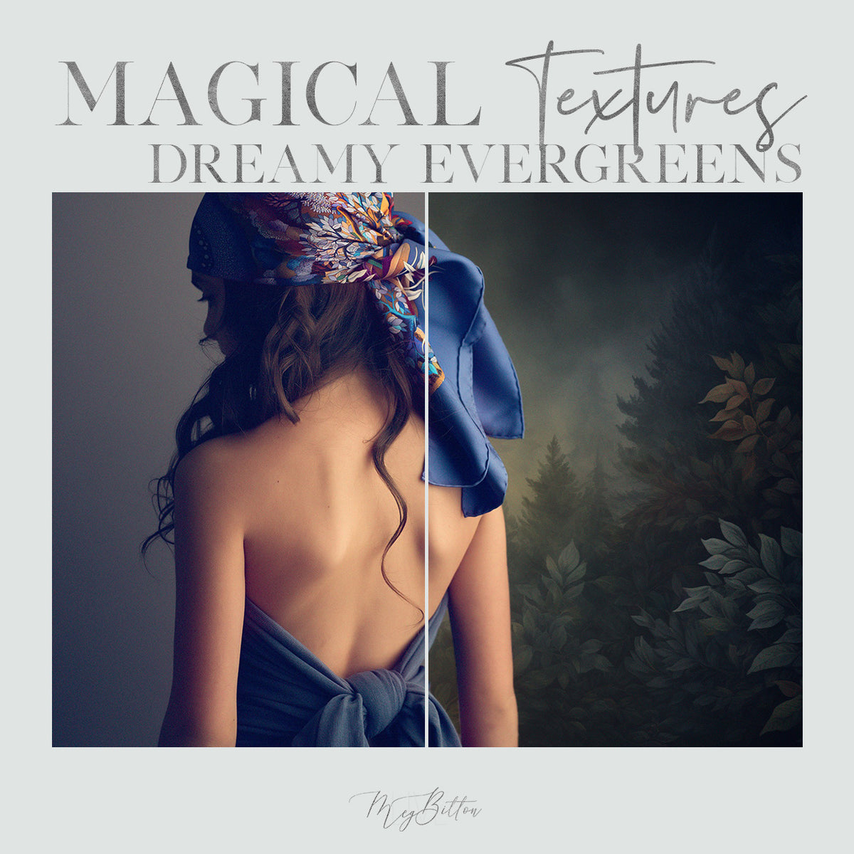 Magical Dreamy Evergreens Textures