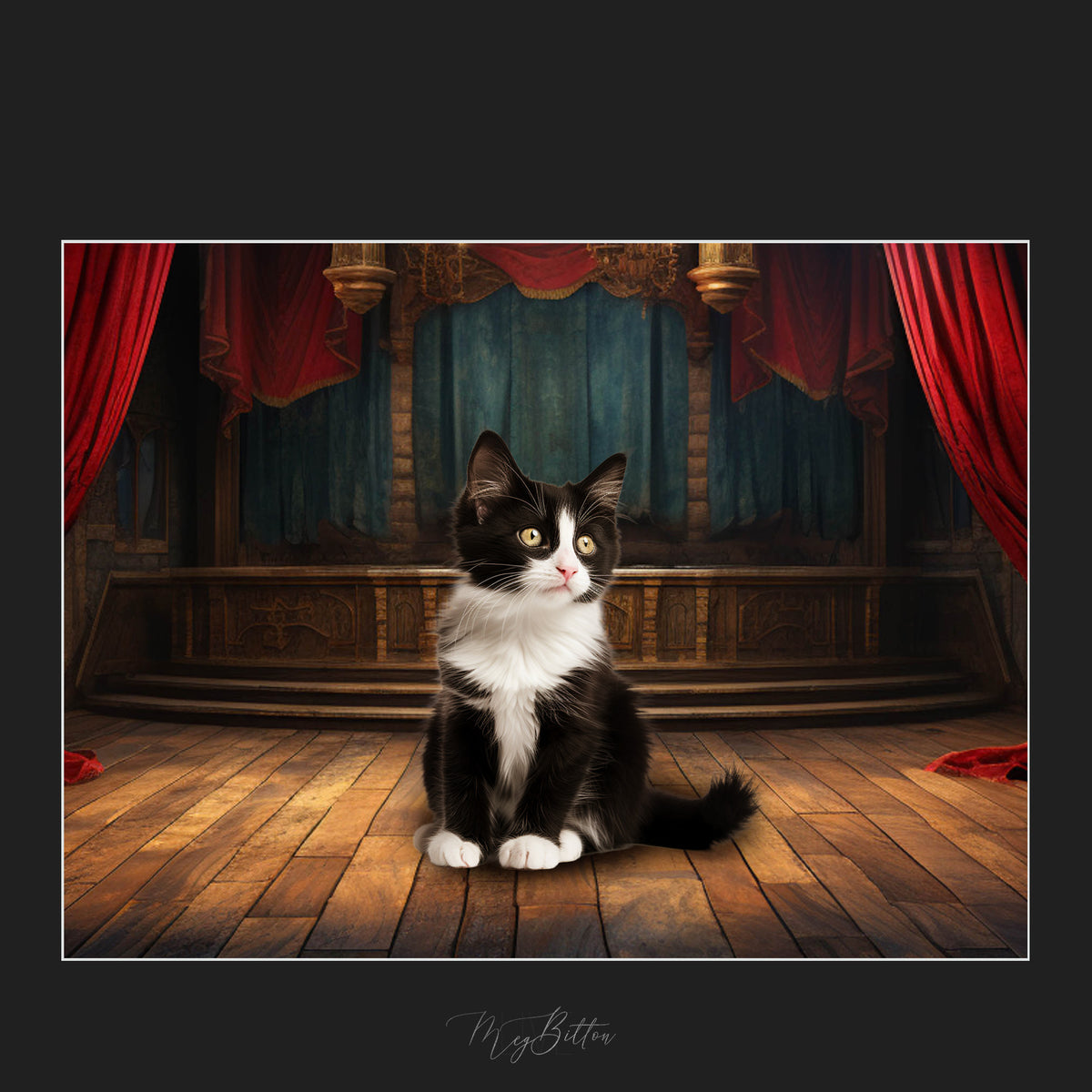 Magical Black & White Kitten Overlays