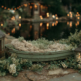 Digital Background: Row Boat Dreamer
