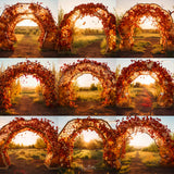 Honeycomb Arch Background Bundle