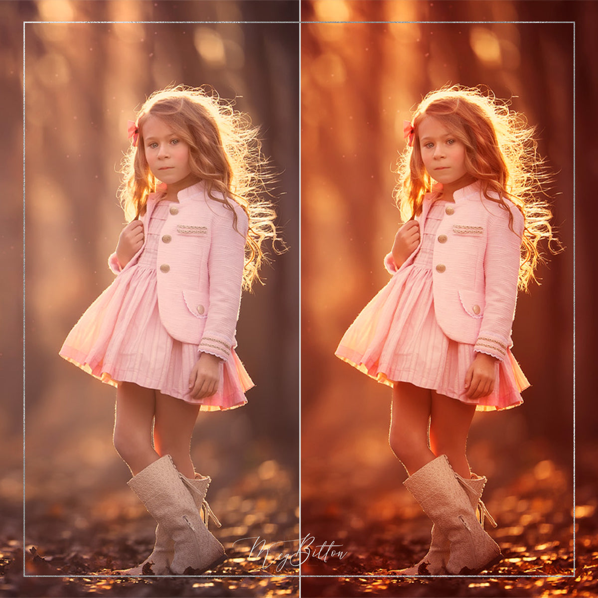 Rich Autumn Reds Action - Meg Bitton Productions