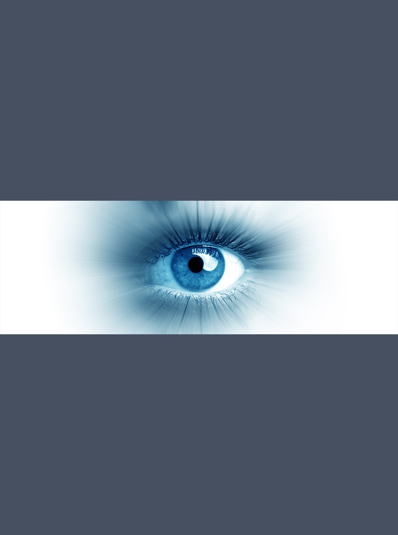 Ocean Eye - Meg Bitton Productions