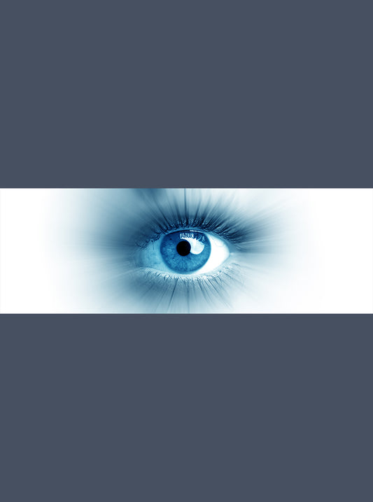 Ocean Eye - Meg Bitton Productions
