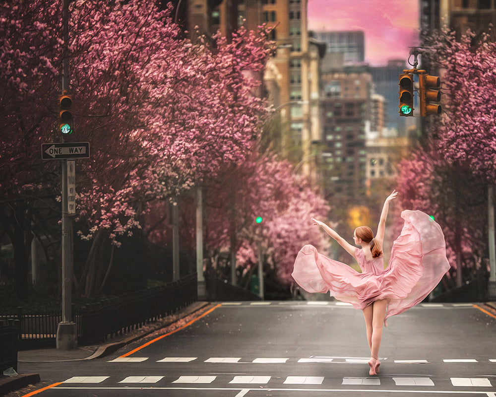 Pink Park Avenue - Meg Bitton Productions