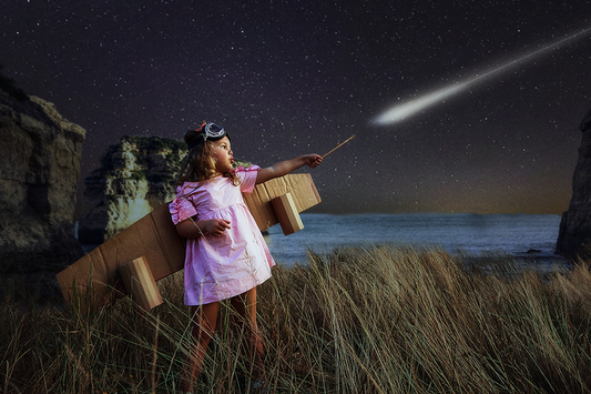 The Meteor - Meg Bitton Productions