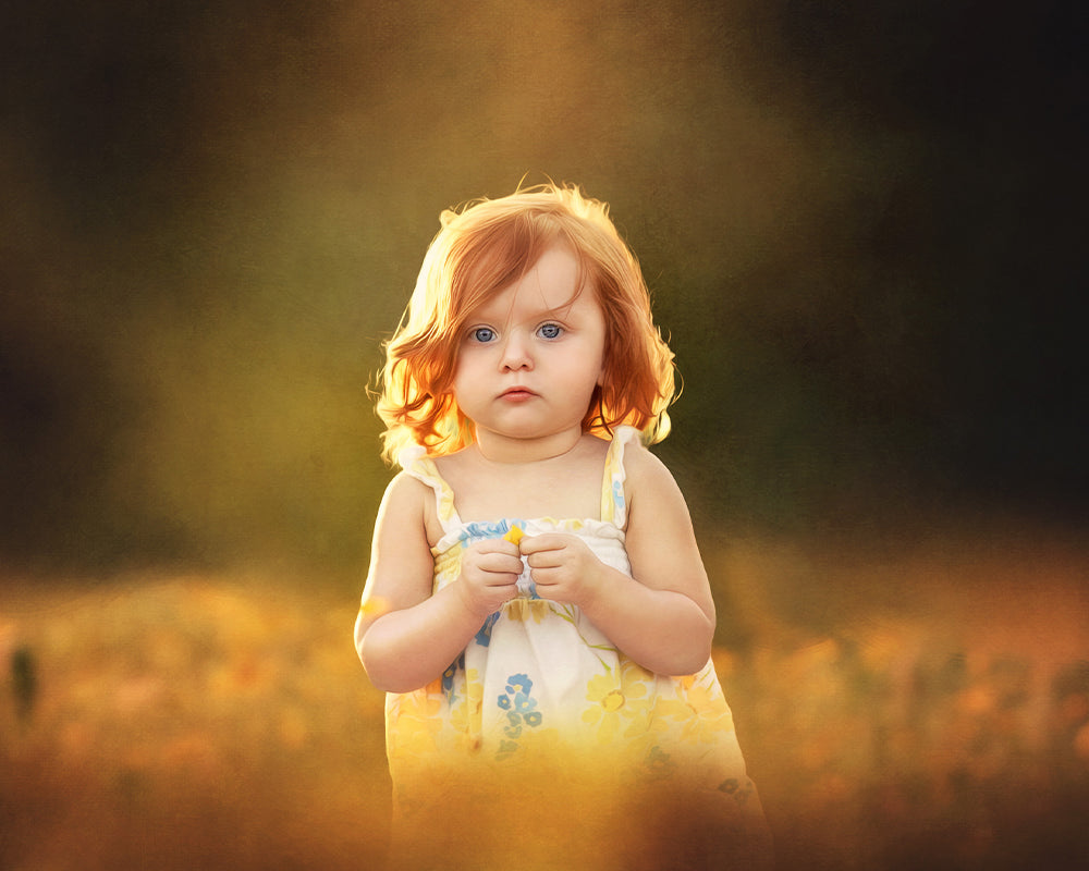 The Yellow Field - Meg Bitton Productions