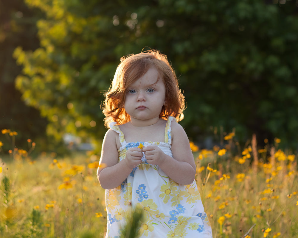 The Yellow Field - Meg Bitton Productions
