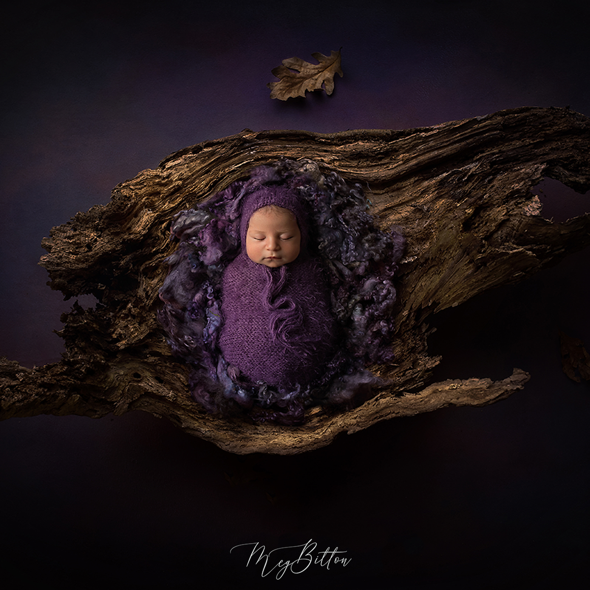 Digital Background: Wooden Log Bowl - Meg Bitton Productions