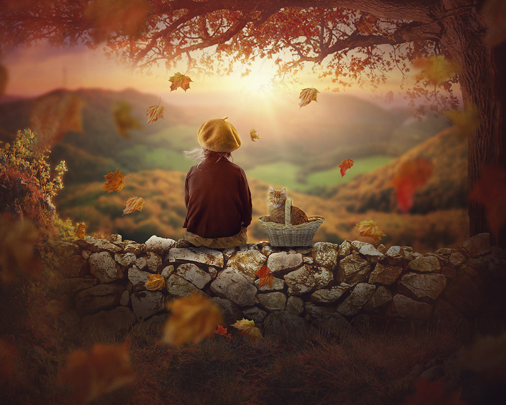 Autumn View - Meg Bitton Productions