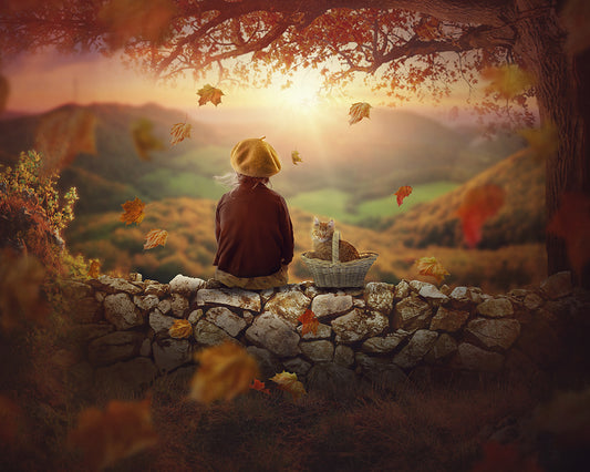 Autumn View - Meg Bitton Productions