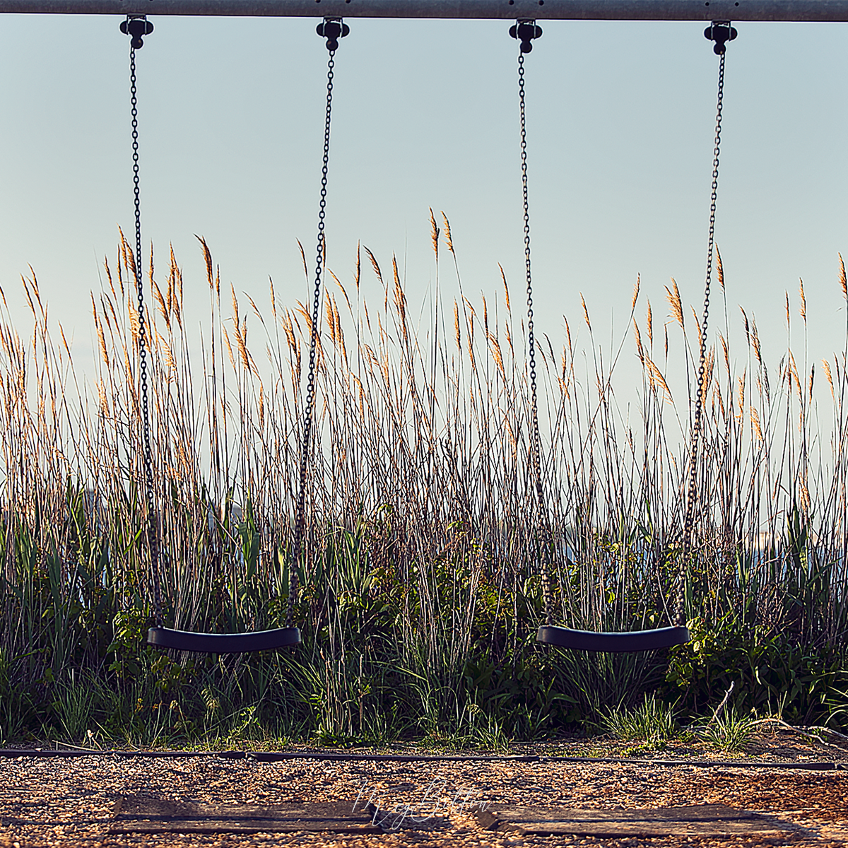 Digital Background: Beach Swing - Meg Bitton Productions