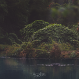 Digital Background: Duck Pond - Meg Bitton Productions