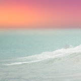 Digital Background: Ocean Sunset - Meg Bitton Productions