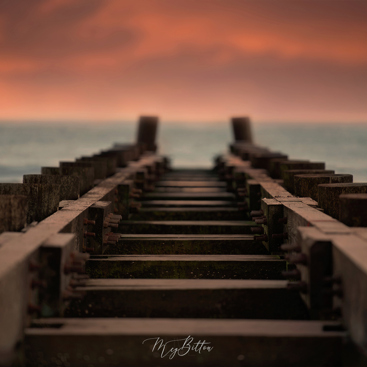 Digital Background: On the Pier - Meg Bitton Productions