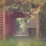 Digital Background: Summer Cabin - Meg Bitton Productions