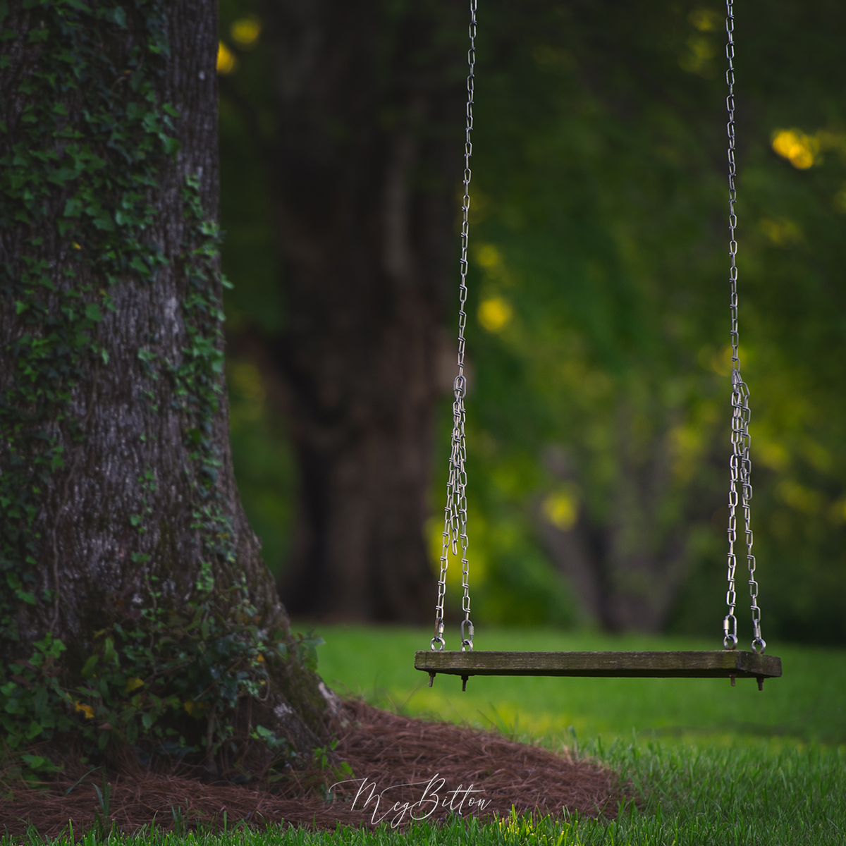 Digital Background: Sunset Swing - Meg Bitton Productions