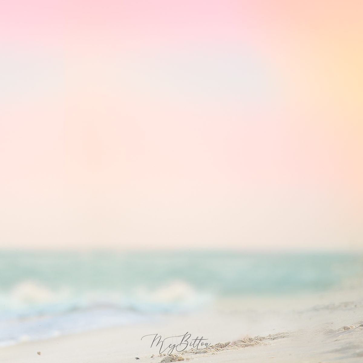 Digital Background: Tropical Beach - Meg Bitton Productions