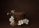 Digital Background: Terra Cotta Pot - Meg Bitton Productions