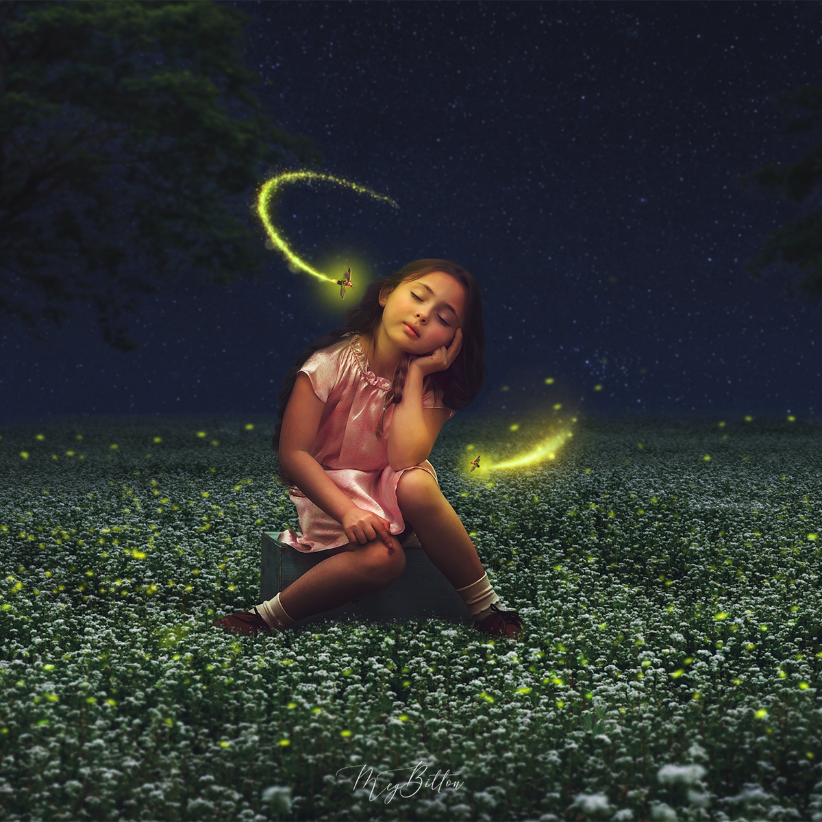 The Firefly Kit - Meg Bitton Productions