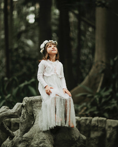 Fairy Magic - Meg Bitton Productions