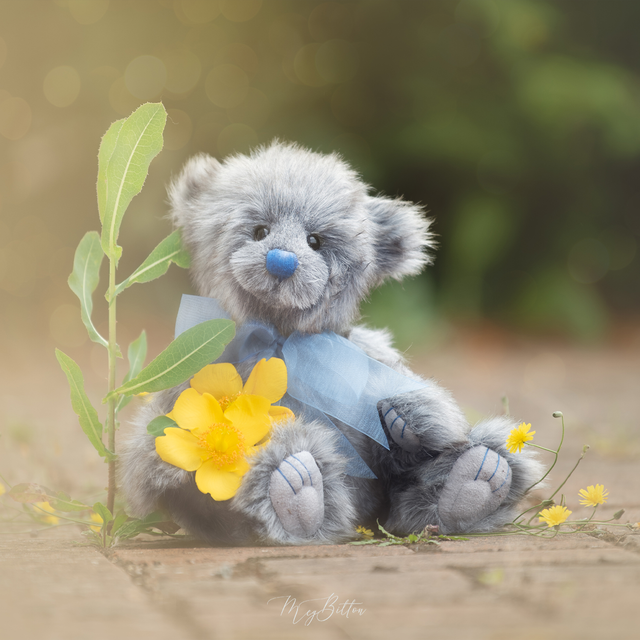 Donation Digital Image Download-Levi - Meg Bitton Productions
