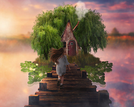House in the Lake - Meg Bitton Productions