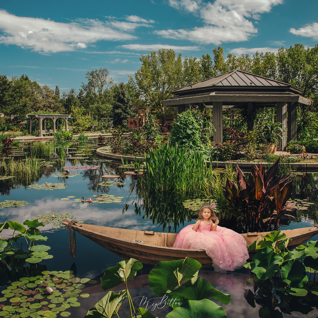 Lily Pad Pond Layered Digital Background