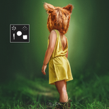 Painterly Brushes - Meg Bitton Productions