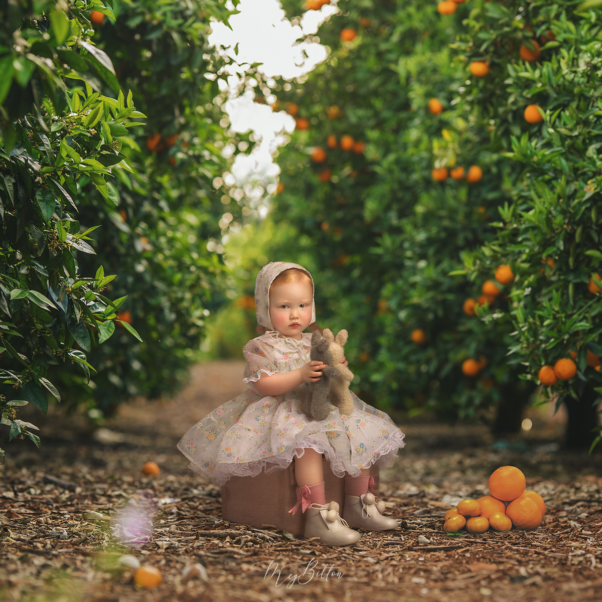 Magical Orange Grove Layered Digital Background - Meg Bitton Productions