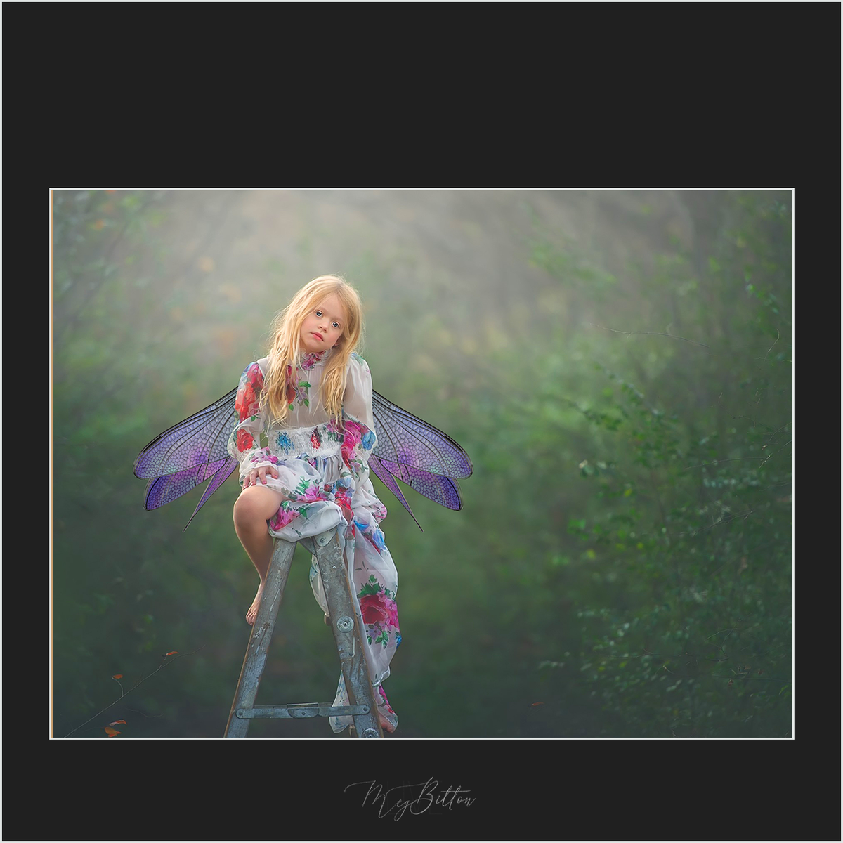 Magical Pixie Wings - Meg Bitton Productions