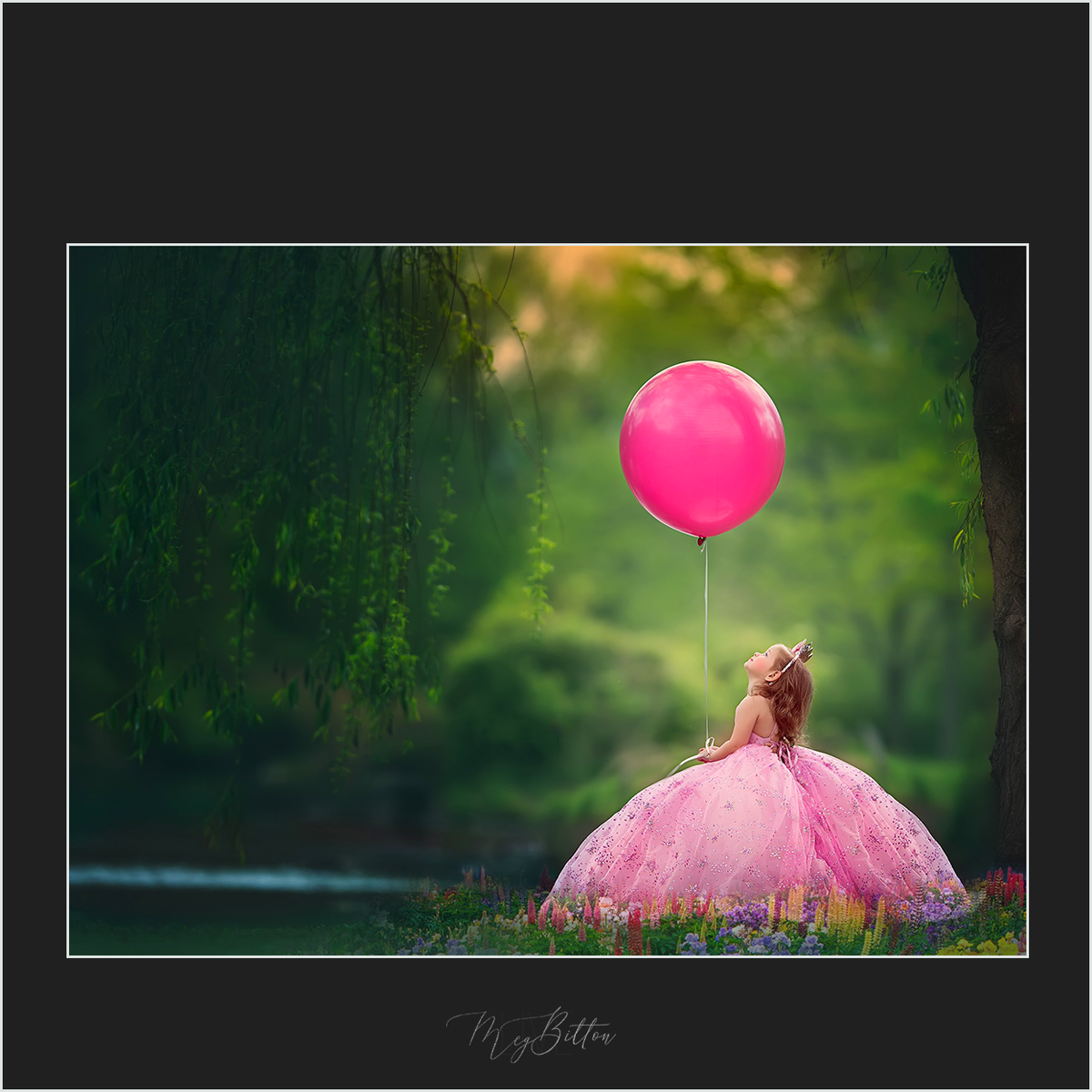 Magical Flower Fields - Meg Bitton Productions