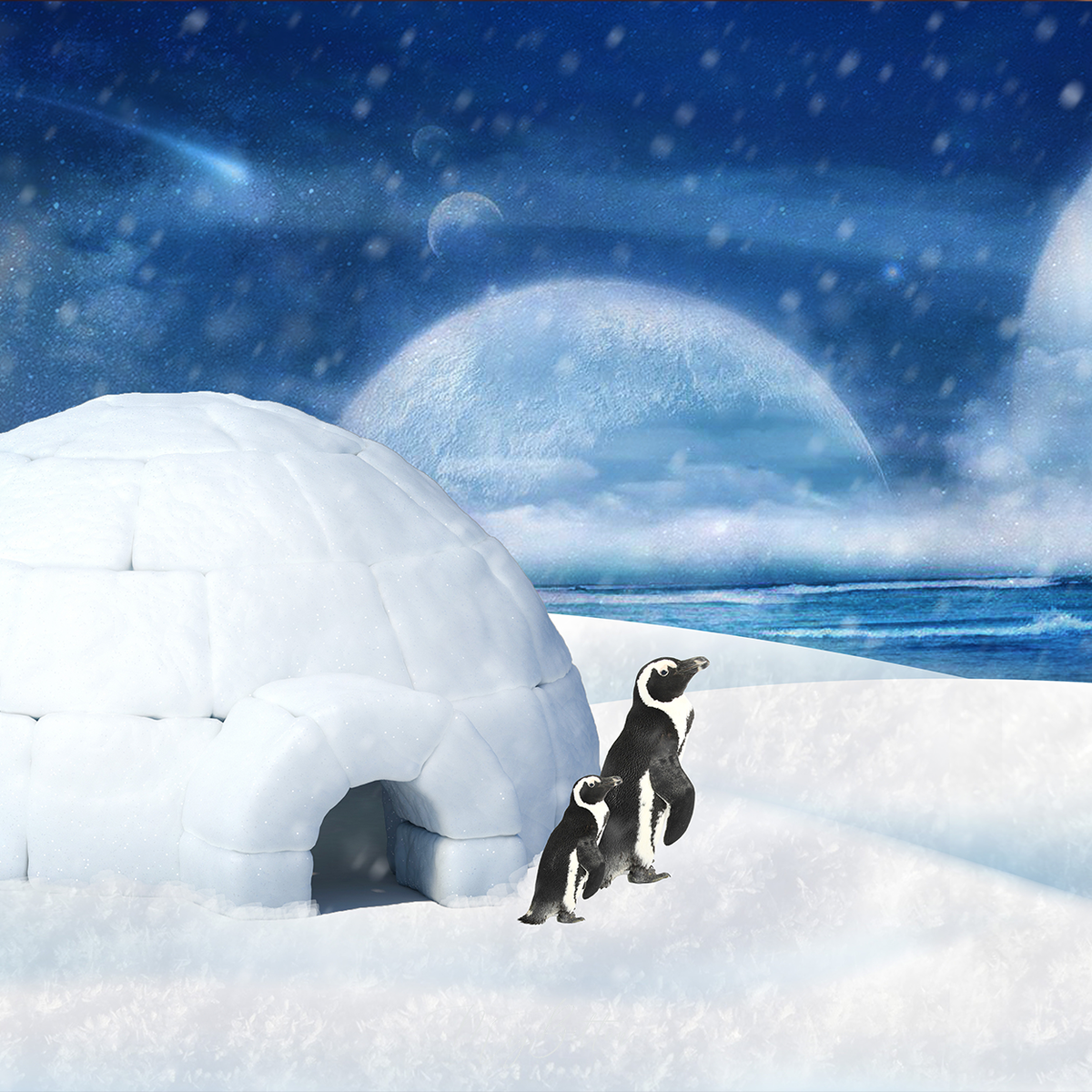 Igloo Love Digital Background - Meg Bitton Productions
