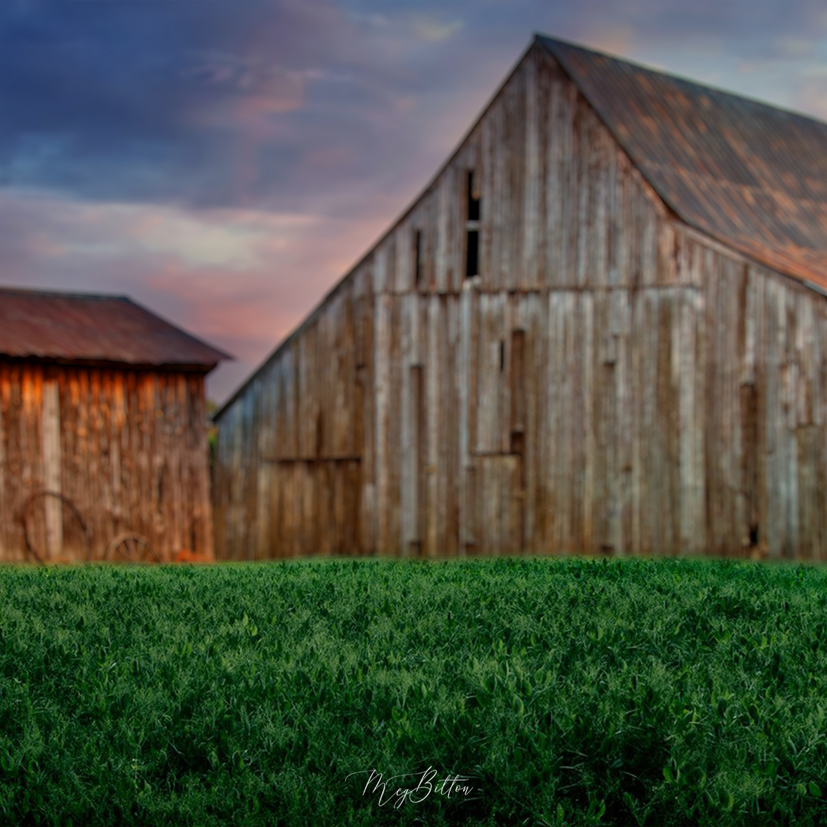 Digital Background: Vibrant Evening Barn - Meg Bitton Productions